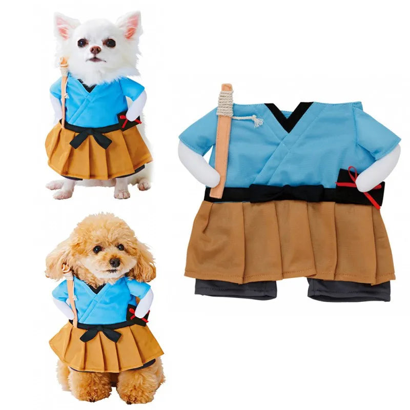 Funny Pet Cat Halloween Party Cute Clothes