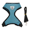 Pet Cat Harness and Leash Set