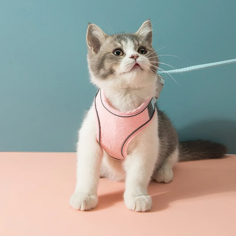 Pet Cat Harness Leash Set