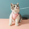 Pet Cat Harness Leash Set