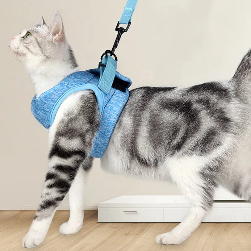 Adjustable Pet Cat Harness with Leash Set