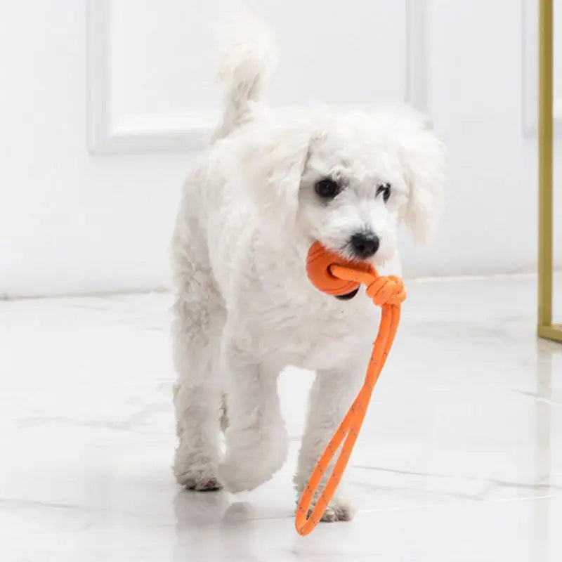 Dog Chew Rope Toys for Medium Big Dogs