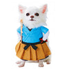 Funny Pet Cat Halloween Party Cute Clothes