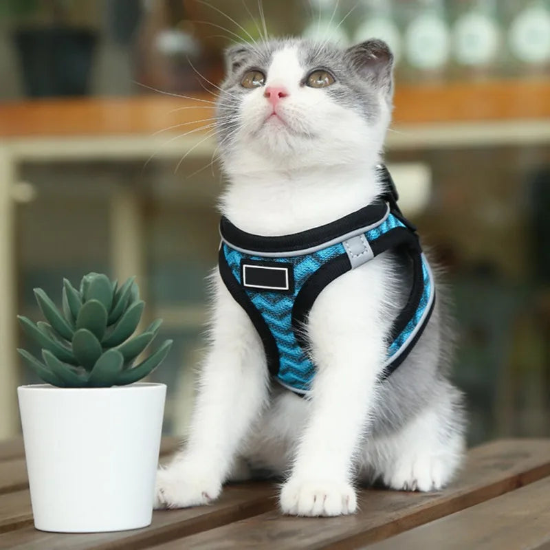 Pet Cat Harness and Leash Set