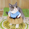 Funny Pet Cat Halloween Party Cute Clothes