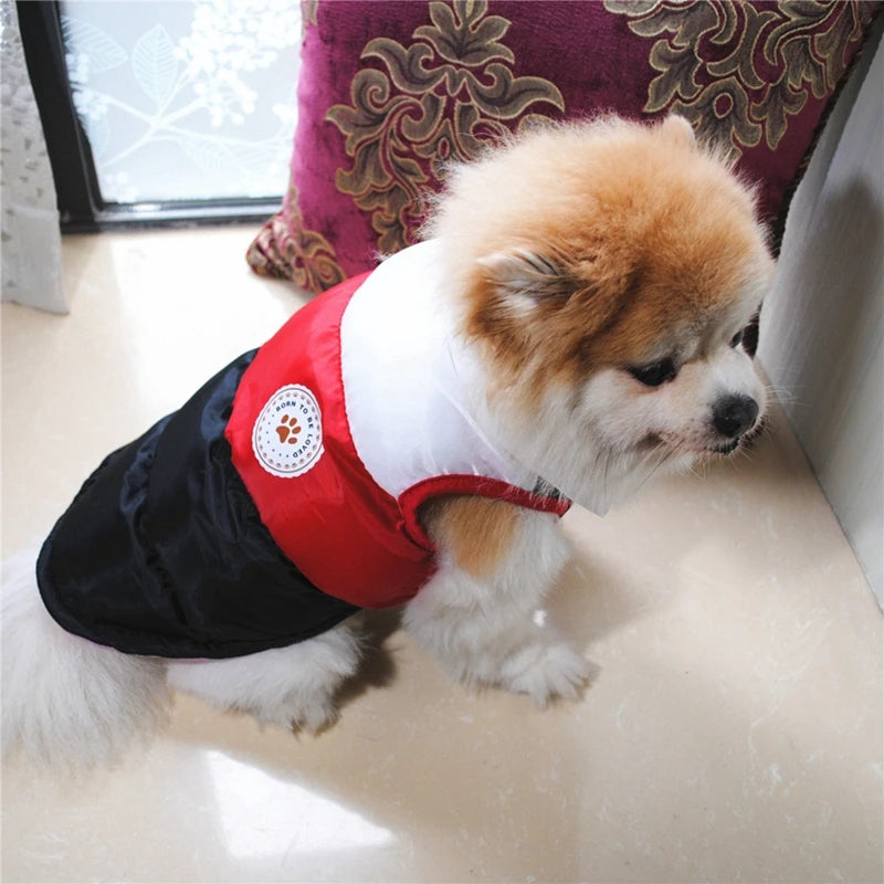 Winter Warm Pet Cat Jacket