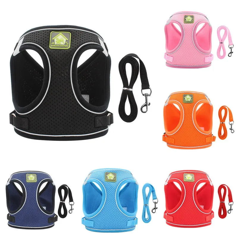 Dog Harness with Leash