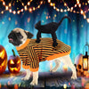 Funny Pet Cat Halloween Party Cute Comfort Clothes