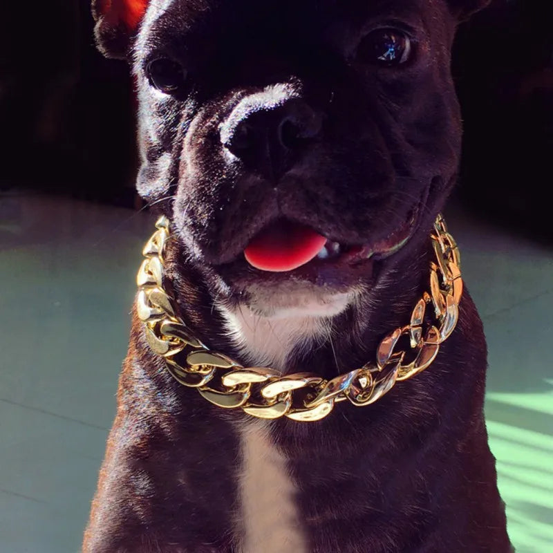 Dog Chain Collar Pet Fashion