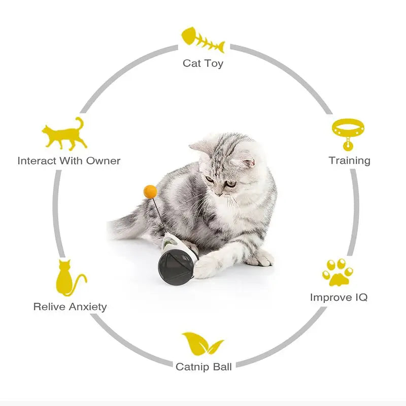 Automatic Pet Cat Toys with Wheel