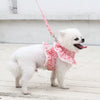 Dog Harness Leash Set