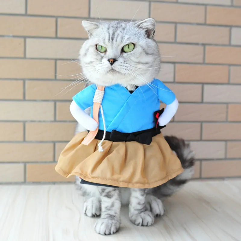 Funny Pet Cat Halloween Party Cute Clothes