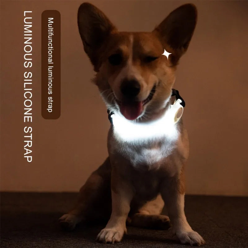 Led Dog Collar