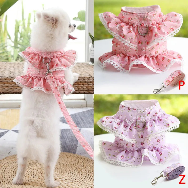 Dog Harness Leash Set