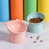 Pet Dog Bowl with Raised Stand Pet Food