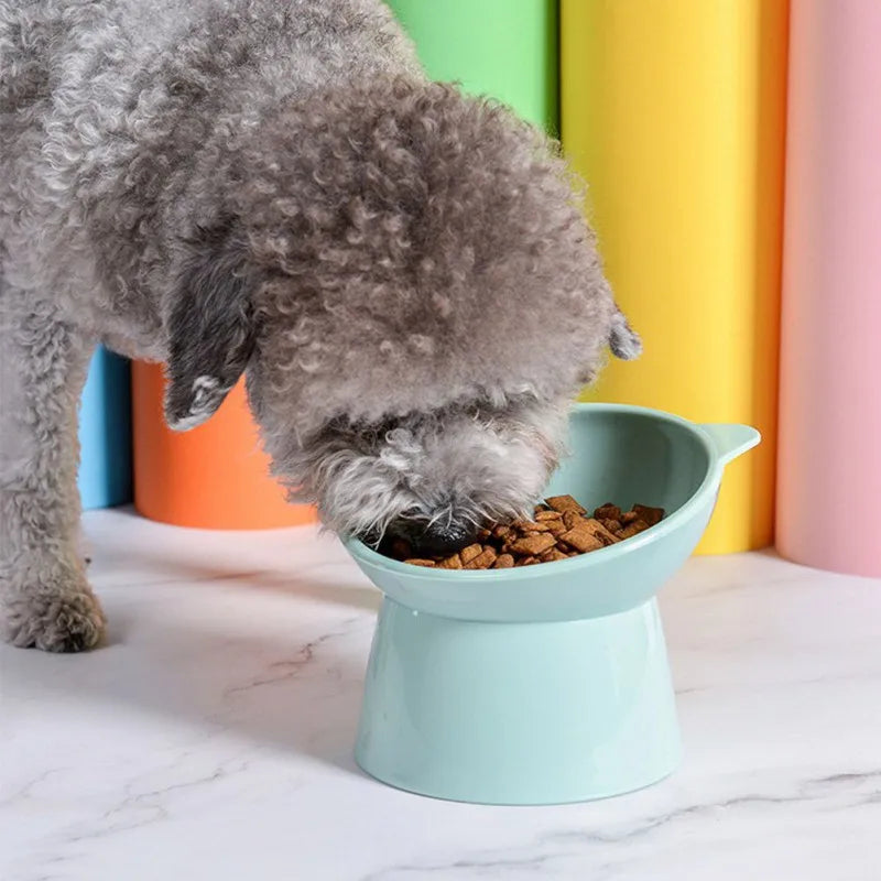 Pet Dog Bowl with Raised Stand Pet Food