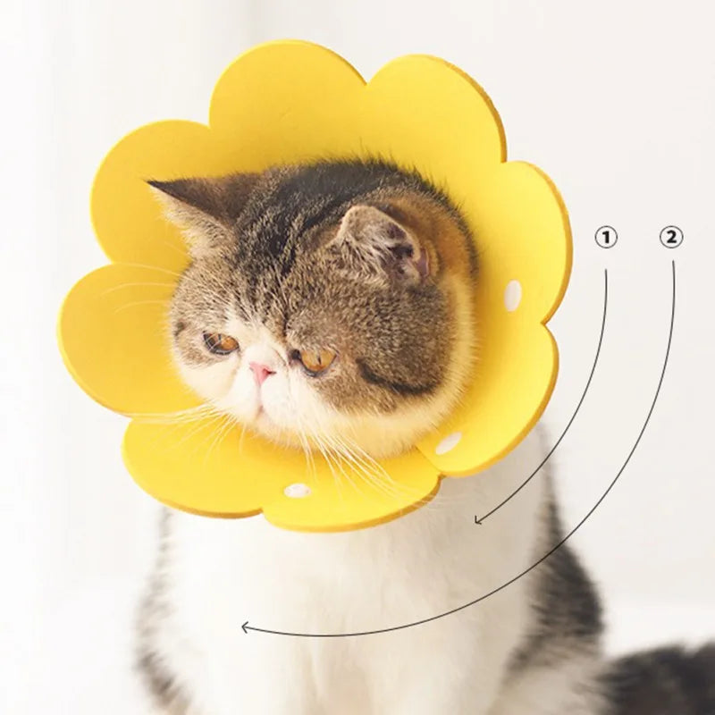 Sunflower Shaped Pet Cat Recovery Collar