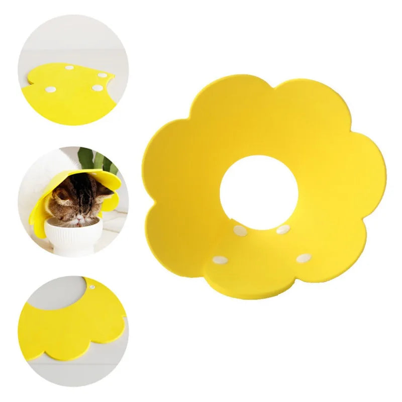 Sunflower Shaped Pet Cat Recovery Collar