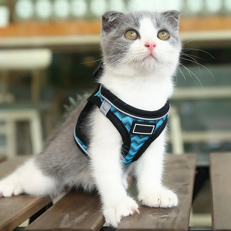 Pet Cat Harness and Leash Set