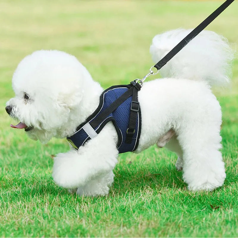 Dog Harness with Leash