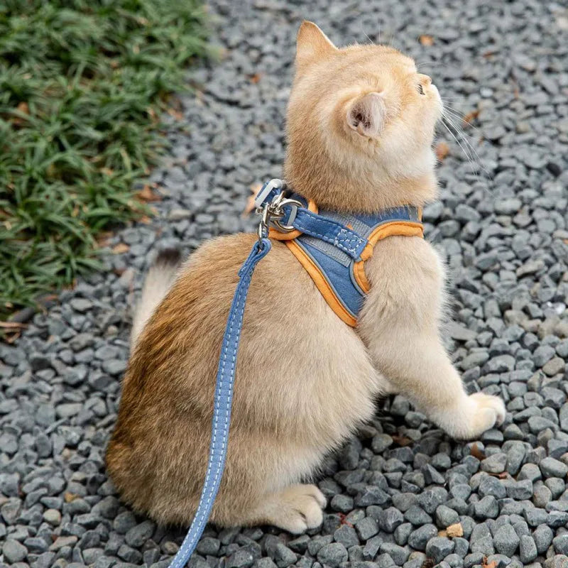 Pet Cat Harness Leash Set