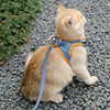 Pet Cat Harness Leash Set