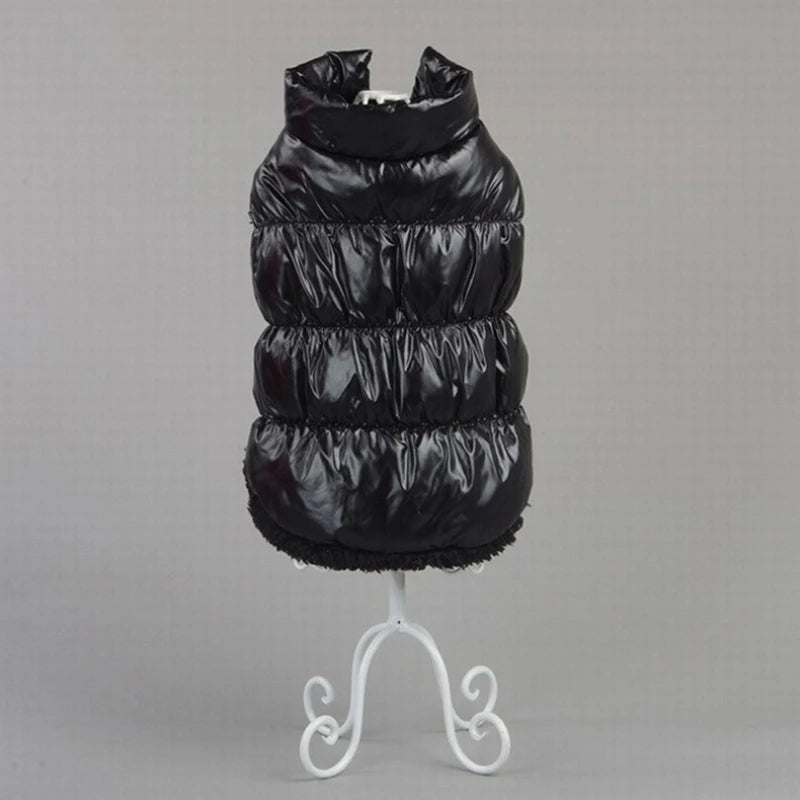 Winter Warm Waterproof Jacket For Cat