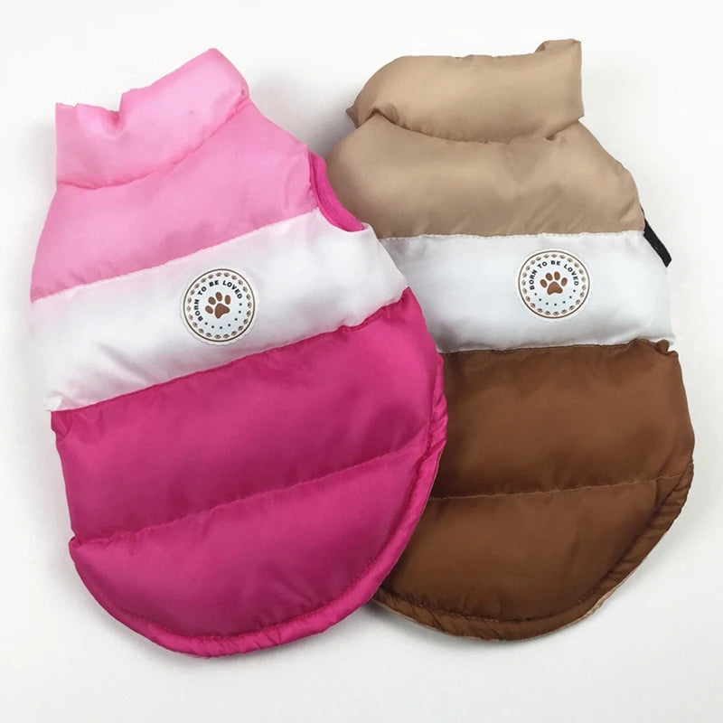 Winter Warm Pet Cat Jacket