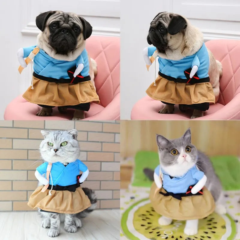 Funny Pet Cat Halloween Party Cute Clothes