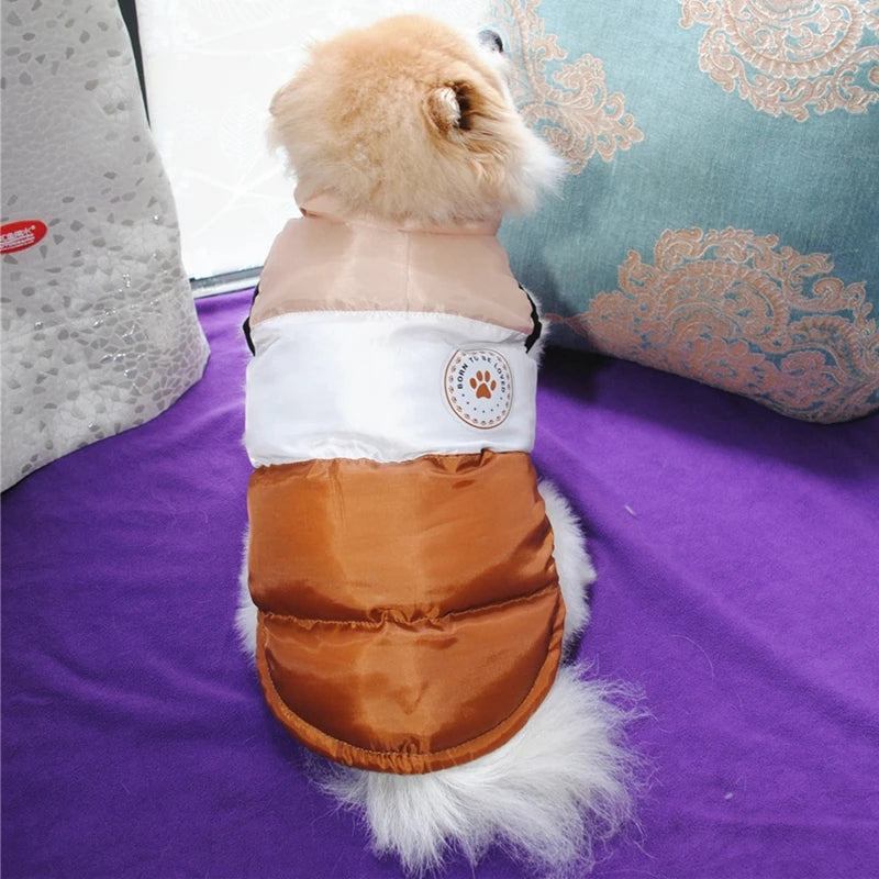 Winter Warm Pet Cat Jacket