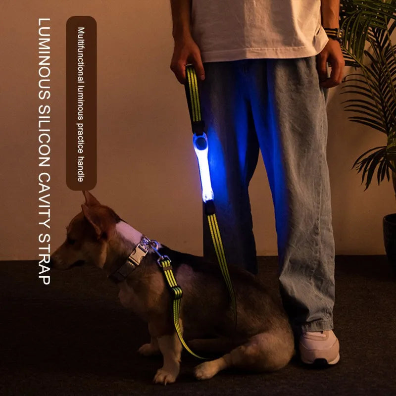 Led Dog Collar