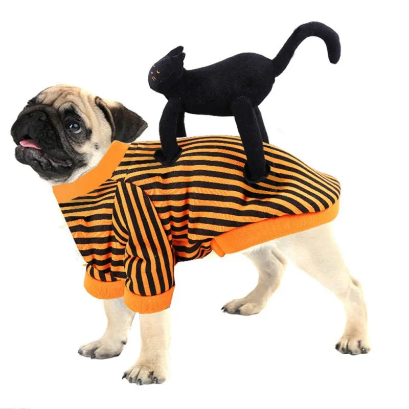 Funny Pet Cat Halloween Party Cute Comfort Clothes