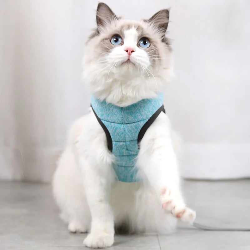 Adjustable Pet Cat Harness with Leash Set