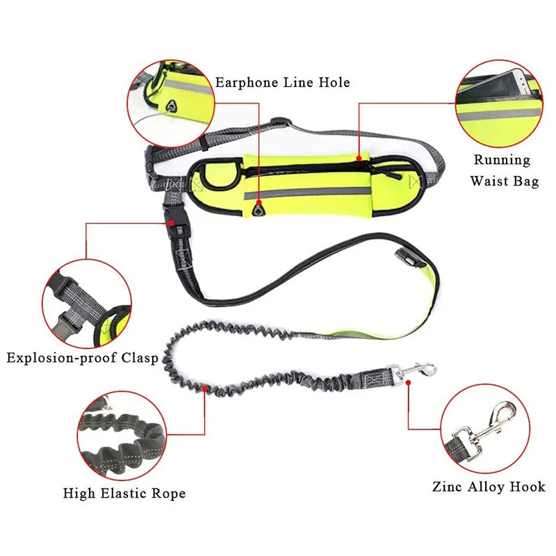 Hands Free Dog Leash for Running