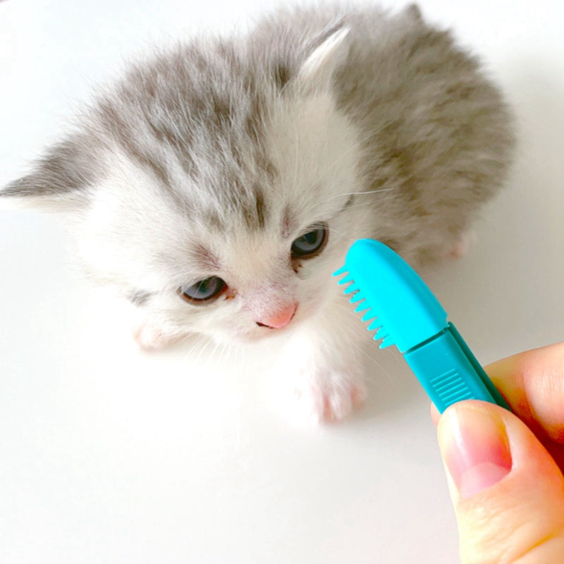 Pet Cat Eye Comb Brush