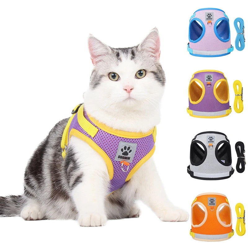 Pet Cat Breathable Mesh Harness Leash Set