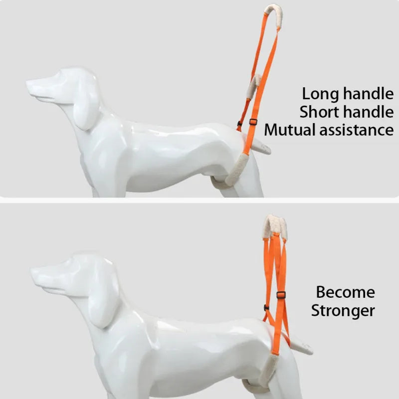 Pet Dog Leg Support Rear Lifting Brace