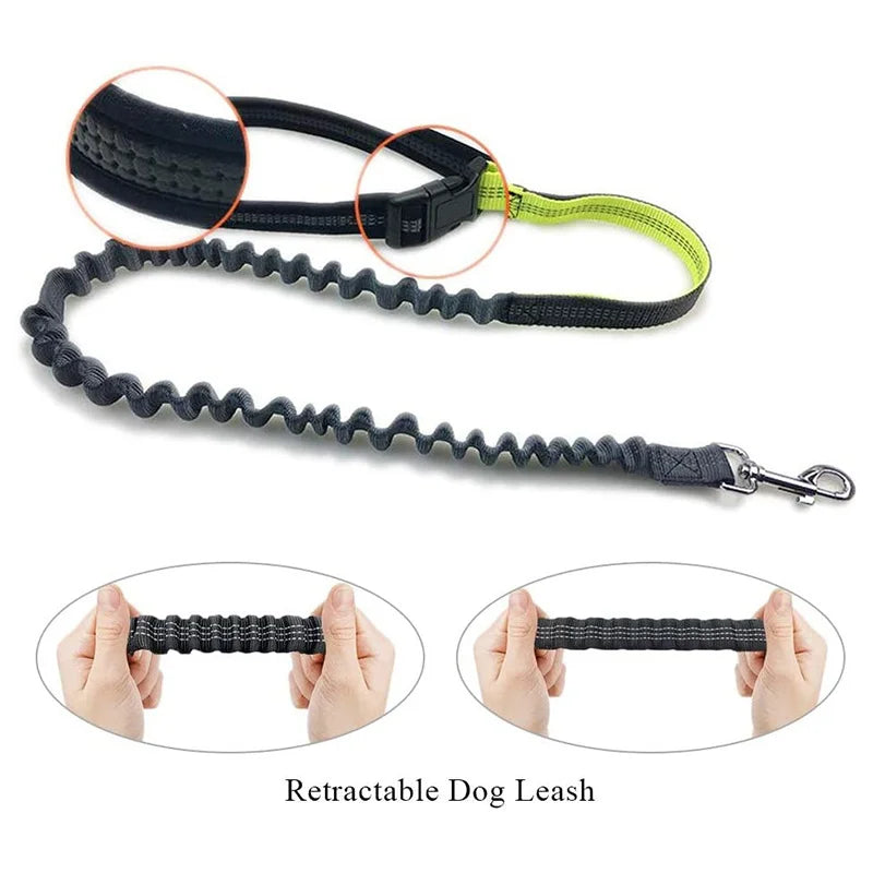 Hands Free Dog Leash for Running