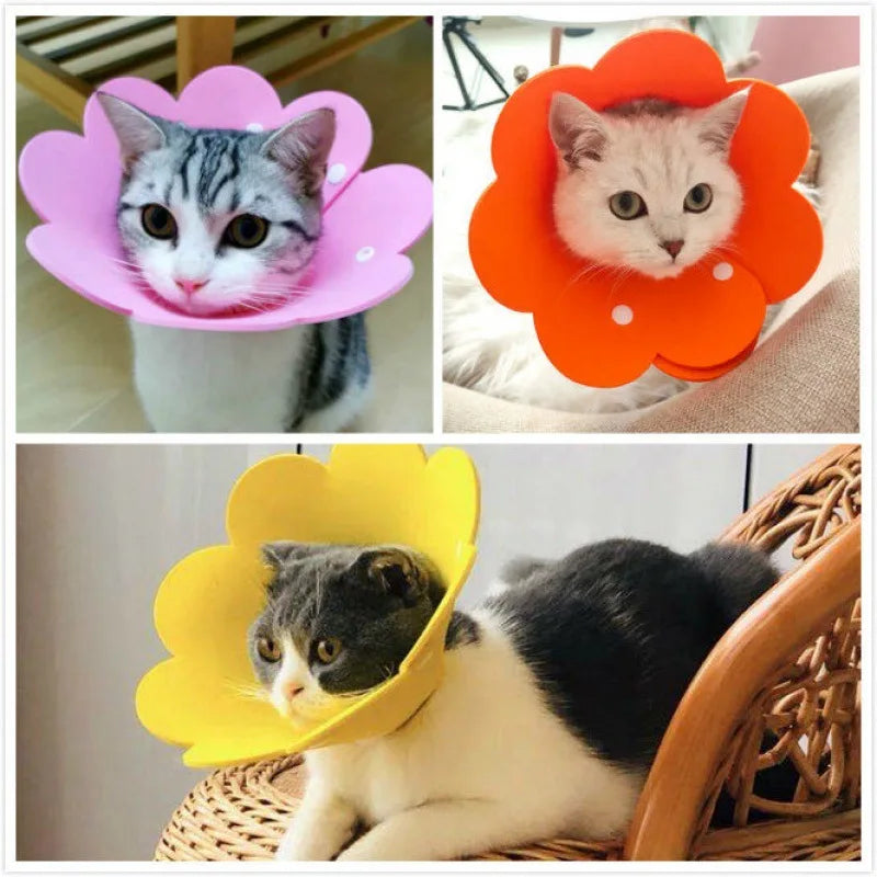 Sunflower Shaped Pet Cat Recovery Collar