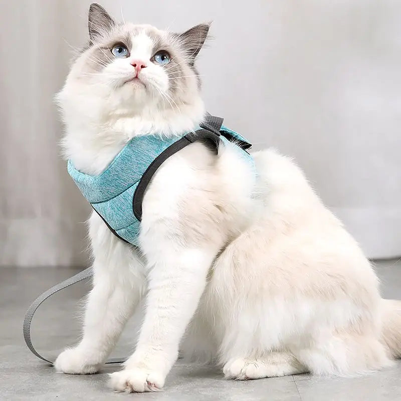 Adjustable Pet Cat Harness with Leash Set