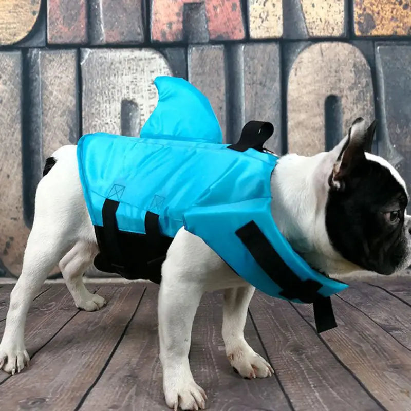 Summer Dog Life Vest