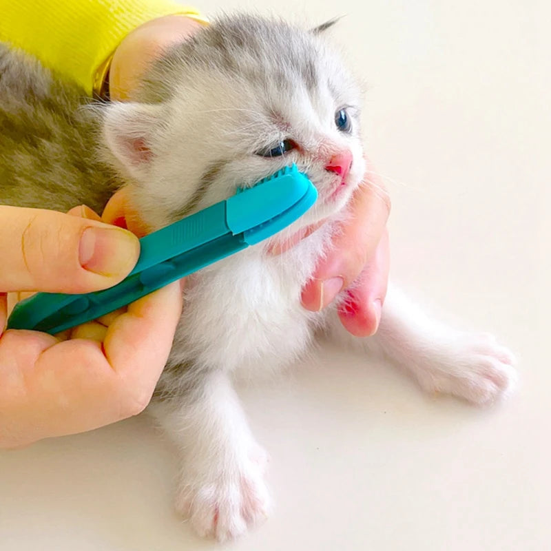 Pet Cat Eye Comb Brush