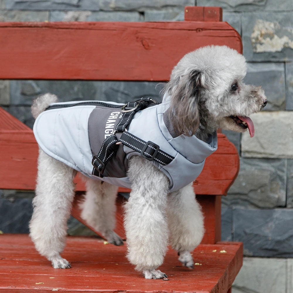 Windproof Dog Clothes