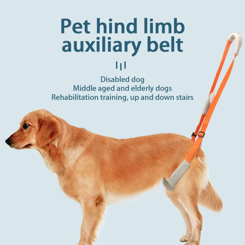 Pet Dog Leg Support Rear Lifting Brace