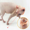 Automatic Laser Teasing Cat Collar Toy