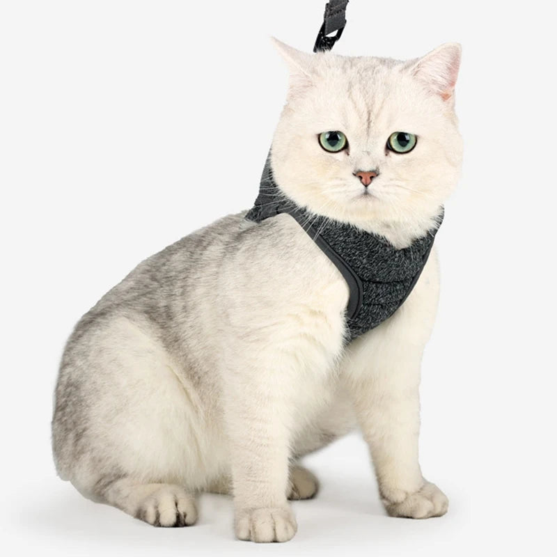 Adjustable Pet Cat Harness with Leash Set