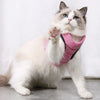 Adjustable Pet Cat Harness with Leash Set