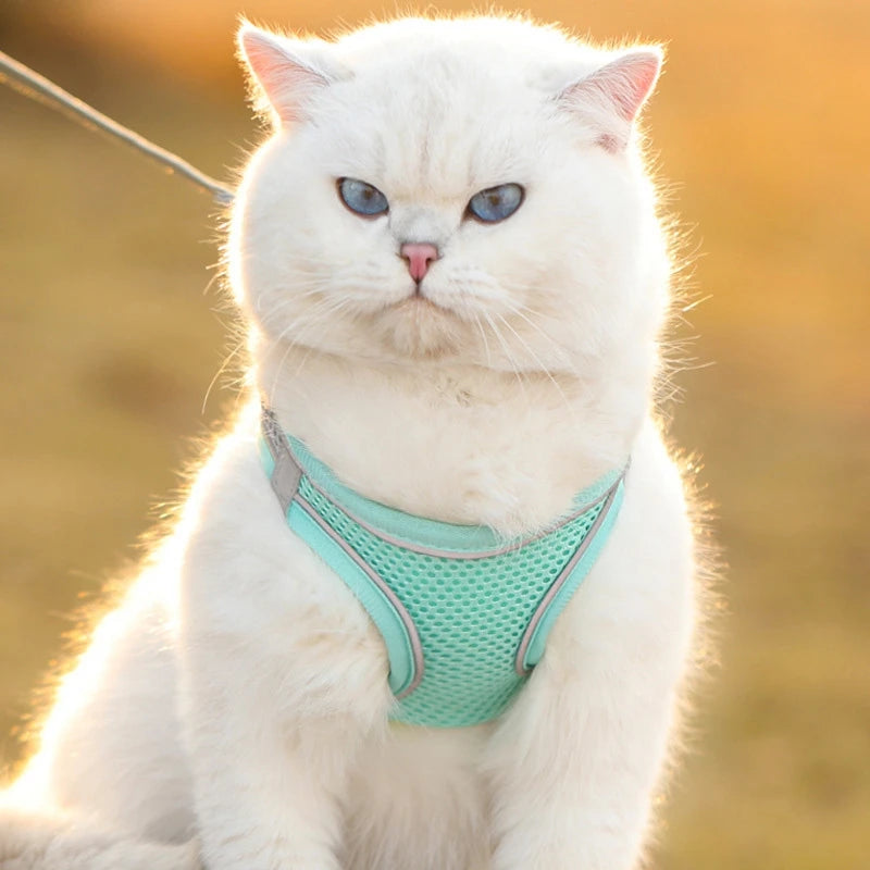 Pet Cat Reflective Harness Vest Leash Set