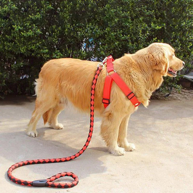 Strong Dog Leash