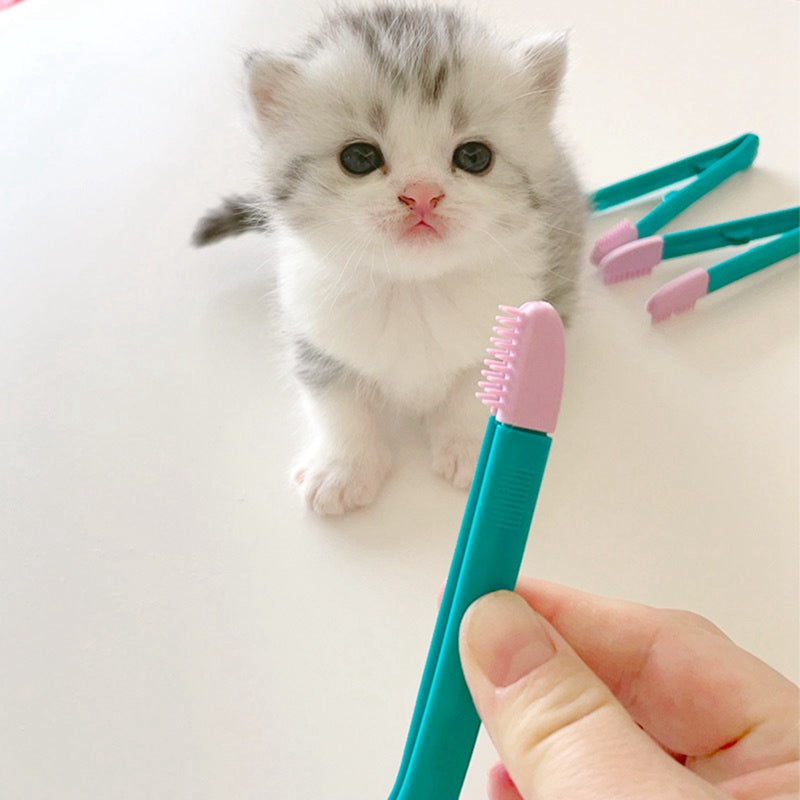 Pet Cat Eye Comb Brush